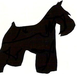 Meet your Posher, Tay